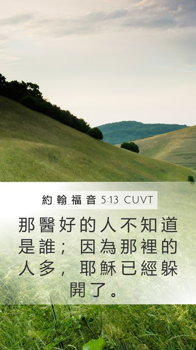 約 翰 福 音 5:13 CUVT Bible Verse Image