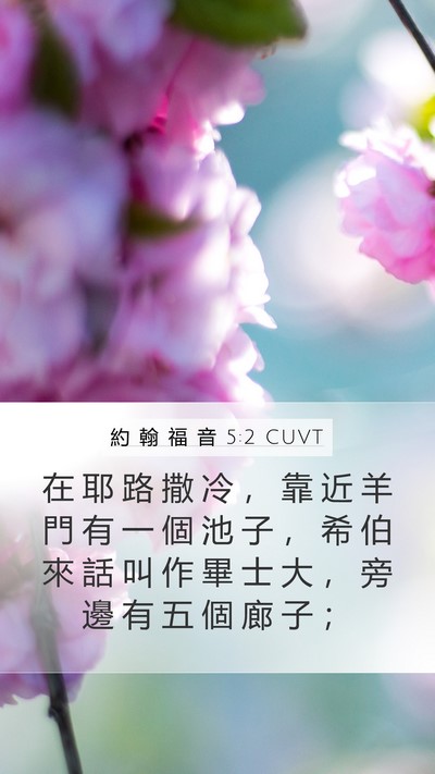 約 翰 福 音 5:2 CUVT Bible Verse Image