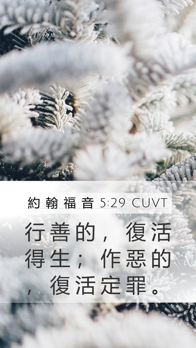 約 翰 福 音 5:29 CUVT Bible Verse Image