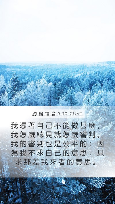 約 翰 福 音 5:30 CUVT Bible Verse Image
