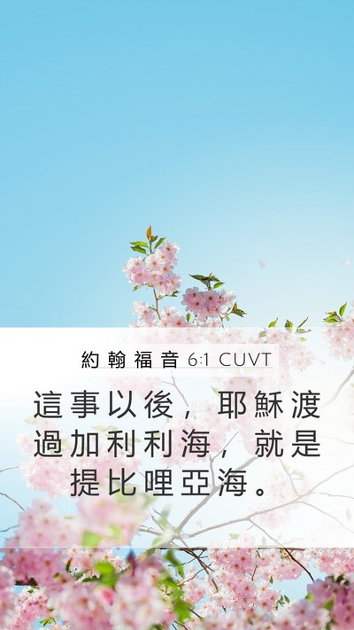 約 翰 福 音 6:1 CUVT Bible Verse Image