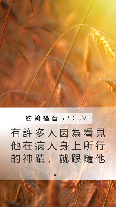 約 翰 福 音 6:2 CUVT Mobile Phone Wallpaper - 有 許 多 人 因 為 看 見 他 在 病 人 - Mobile Bible Verse Wallpaper