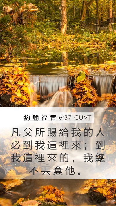 約 翰 福 音 6:37 CUVT Mobile Phone Wallpaper - 凡 父 所 賜 給 我 的 人 必 到 我 這 - Mobile Bible Verse Wallpaper