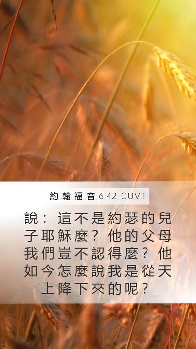 約 翰 福 音 6:42 CUVT Bible Verse Image