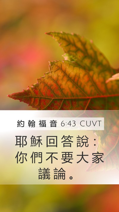 約 翰 福 音 6:43 CUVT Mobile Phone Wallpaper - 耶 穌 回 答 說 ： 你 們 不 要 大 家 - Mobile Bible Verse Wallpaper