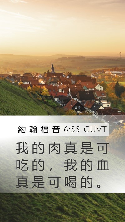 約 翰 福 音 6:55 CUVT Bible Verse Image