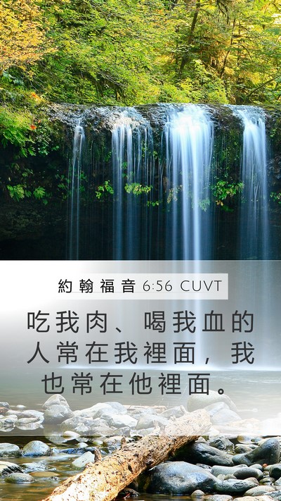 約 翰 福 音 6:56 CUVT Bible Verse Image