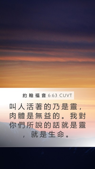約 翰 福 音 6:63 CUVT Bible Verse Image