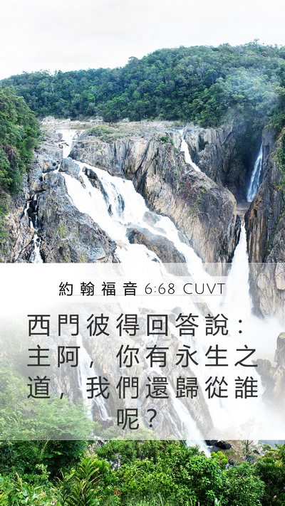 約 翰 福 音 6:68 CUVT Mobile Phone Wallpaper - 西 門 彼 得 回 答 說 ： 主 阿 ， 你 - Mobile Bible Verse Wallpaper