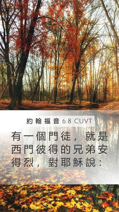 約 翰 福 音 6:8 CUVT Mobile Phone Wallpaper - 有 一 個 門 徒 ， 就 是 西 門 彼 得 - Mobile Bible Verse Wallpaper