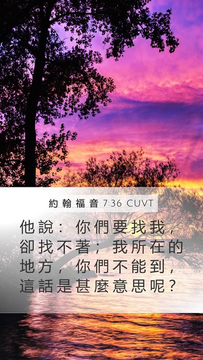 約 翰 福 音 7:36 CUVT Mobile Phone Wallpaper - 他 說 ： 你 們 要 找 我 ， 卻 找 不 - Mobile Bible Verse Wallpaper