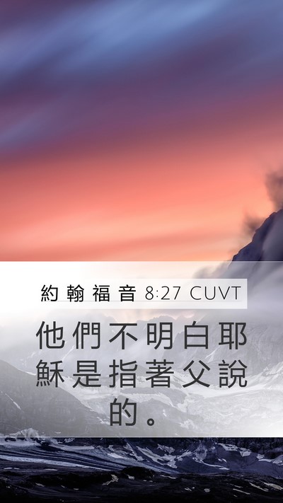 約 翰 福 音 8:27 CUVT Bible Verse Image