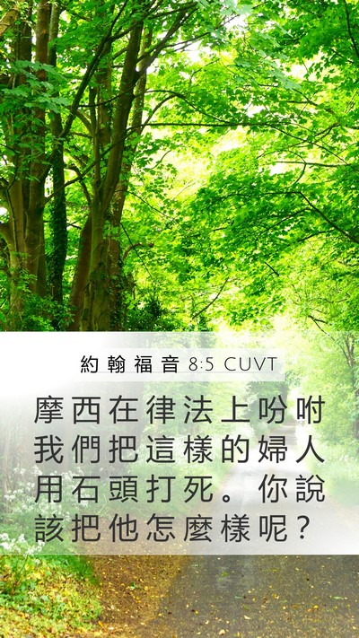 約 翰 福 音 8:5 CUVT Mobile Phone Wallpaper - 摩 西 在 律 法 上 吩 咐 我 們 把 這 - Mobile Bible Verse Wallpaper