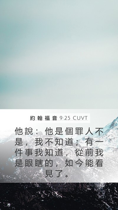 約 翰 福 音 9:25 CUVT Bible Verse Image