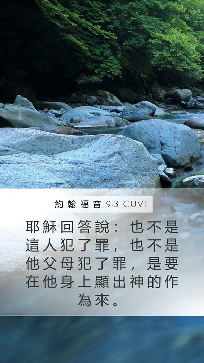 約 翰 福 音 9:3 CUVT Bible Verse Image