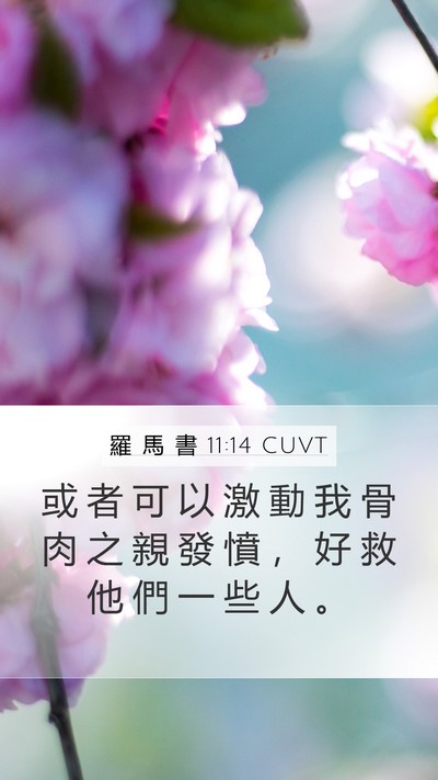 羅 馬 書 11:14 CUVT Bible Verse Image