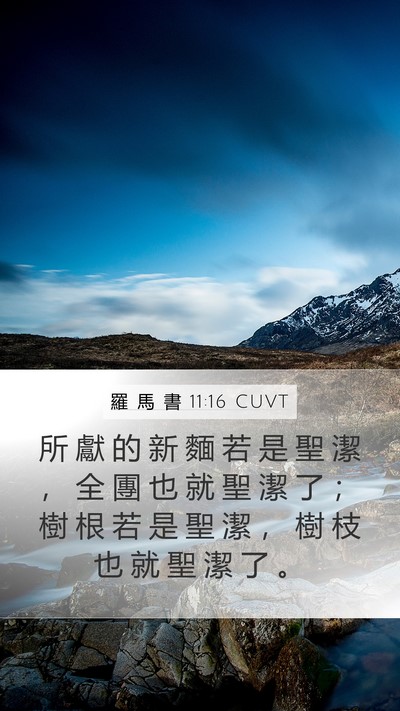 羅 馬 書 11:16 CUVT Bible Verse Image