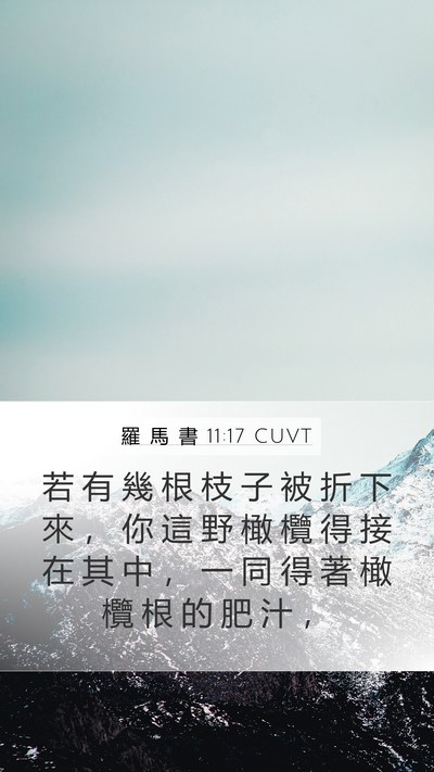 羅 馬 書 11:17 CUVT Bible Verse Image
