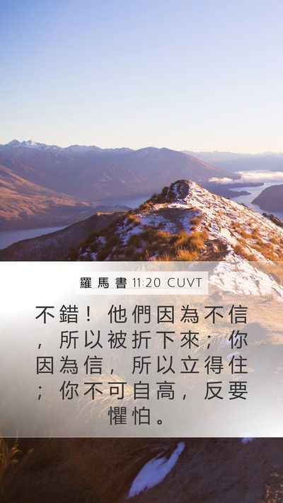 羅 馬 書 11:20 CUVT Bible Verse Image