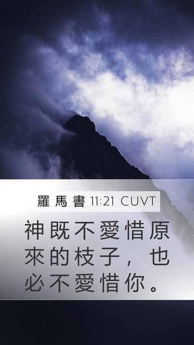 羅 馬 書 11:21 CUVT Bible Verse Image