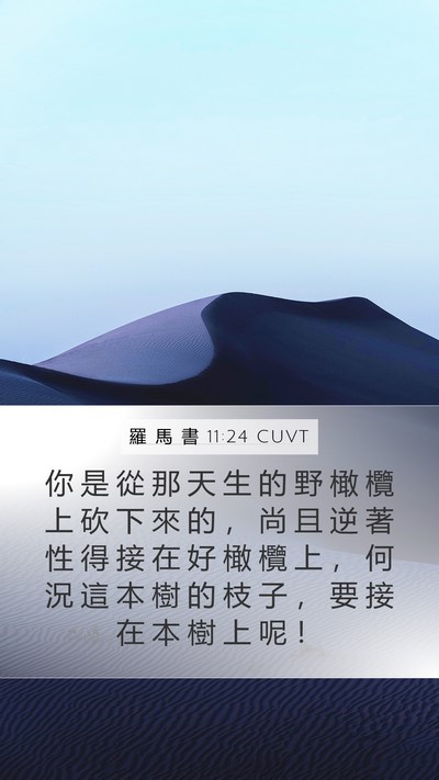 羅 馬 書 11:24 CUVT Bible Verse Image