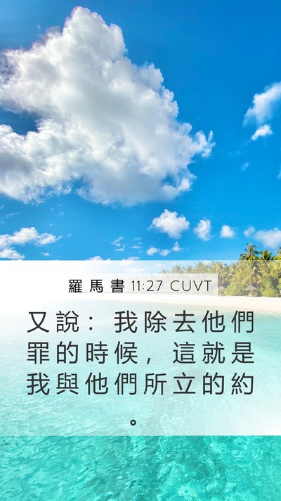 羅 馬 書 11:27 CUVT Bible Verse Image