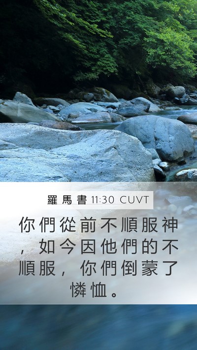 羅 馬 書 11:30 CUVT Bible Verse Image