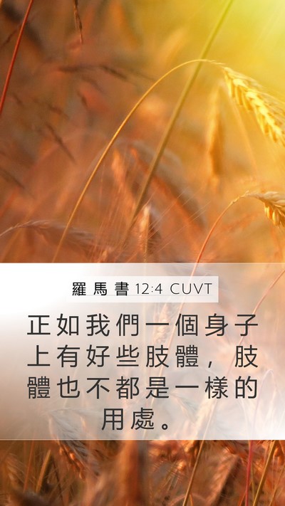 羅 馬 書 12:4 CUVT Mobile Phone Wallpaper - 正 如 我 們 一 個 身 子 上 有 好 些 - Mobile Bible Verse Wallpaper