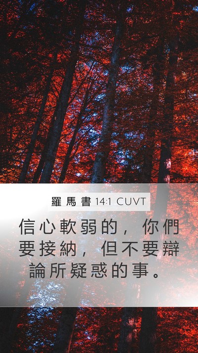羅 馬 書 14:1 CUVT Bible Verse Image