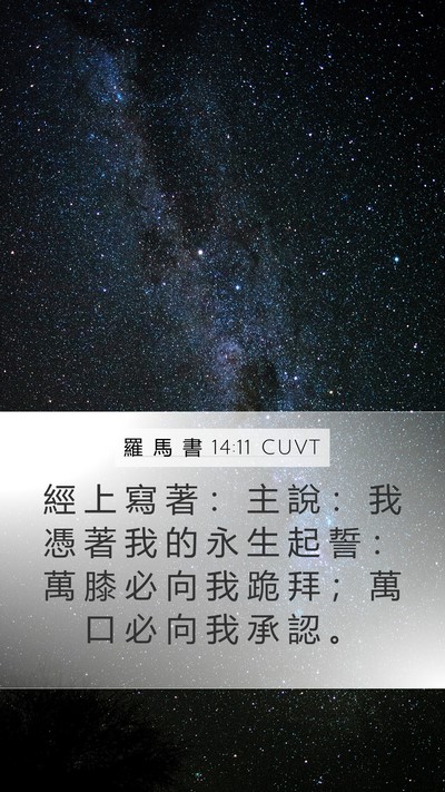 羅 馬 書 14:11 CUVT Bible Verse Image