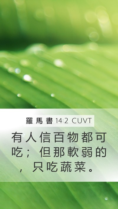 羅 馬 書 14:2 CUVT Bible Verse Image