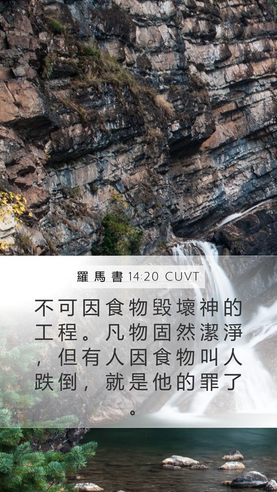 羅 馬 書 14:20 CUVT Bible Verse Image