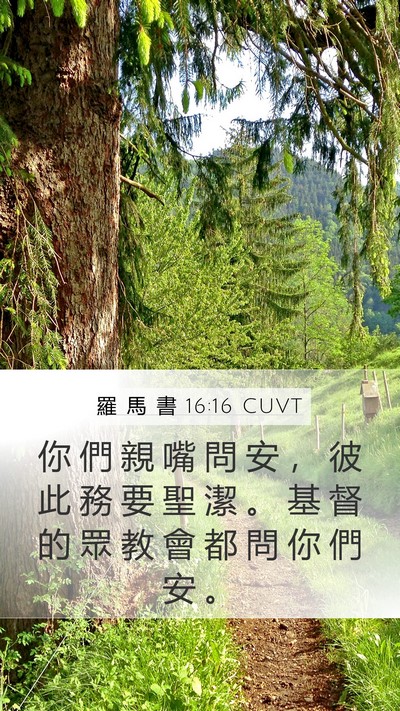 羅 馬 書 16:16 CUVT Bible Verse Image