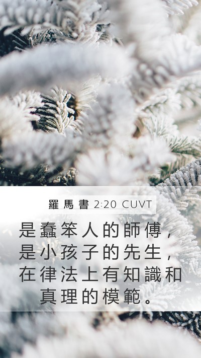 羅 馬 書 2:20 CUVT Bible Verse Image
