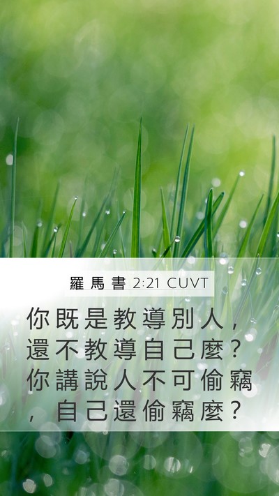 羅 馬 書 2:21 CUVT Bible Verse Image