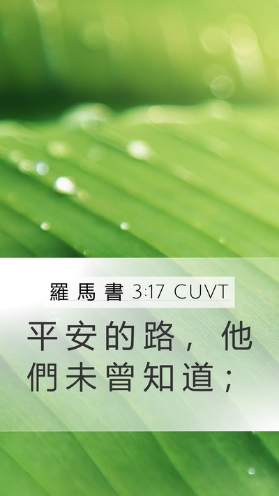 羅 馬 書 3:17 CUVT Bible Verse Image