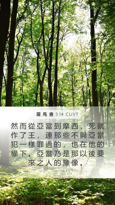 羅 馬 書 5:14 CUVT Bible Verse Image