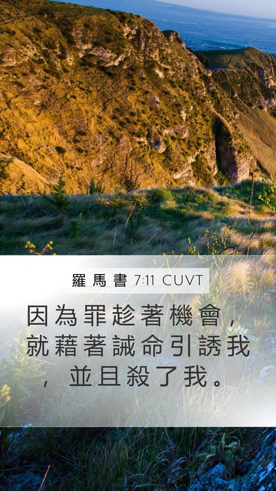 羅 馬 書 7:11 CUVT Bible Verse Image