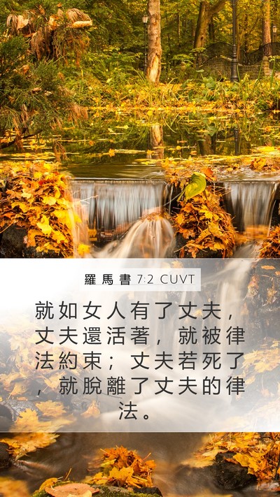 羅 馬 書 7:2 CUVT Bible Verse Image