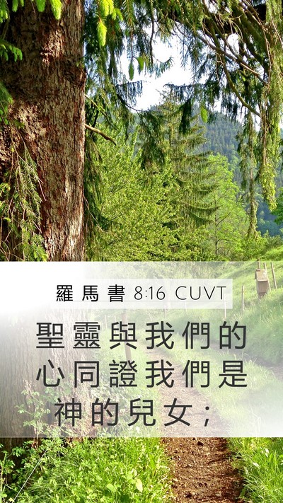 羅 馬 書 8:16 CUVT Bible Verse Image