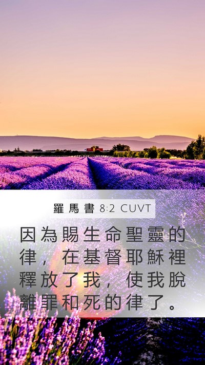 羅 馬 書 8:2 CUVT Bible Verse Image