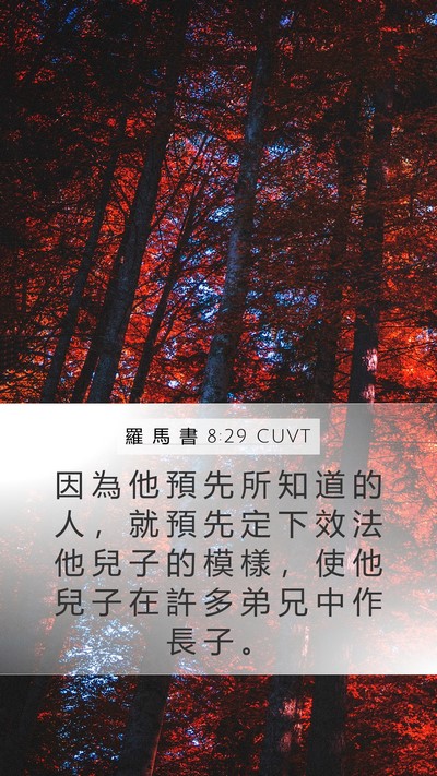 羅 馬 書 8:29 CUVT Bible Verse Image