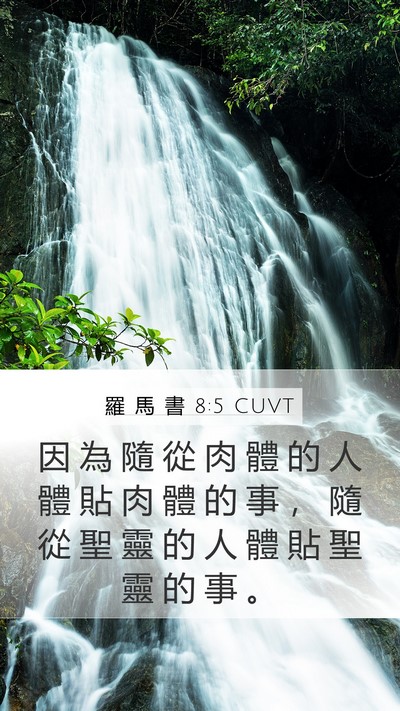 羅 馬 書 8:5 CUVT Bible Verse Image