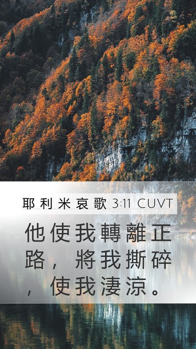 耶 利 米 哀 歌 3:11 CUVT Bible Verse Image