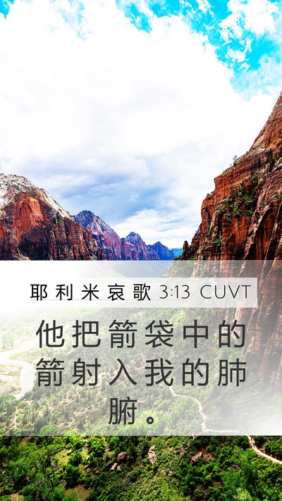 耶 利 米 哀 歌 3:13 CUVT Bible Verse Image