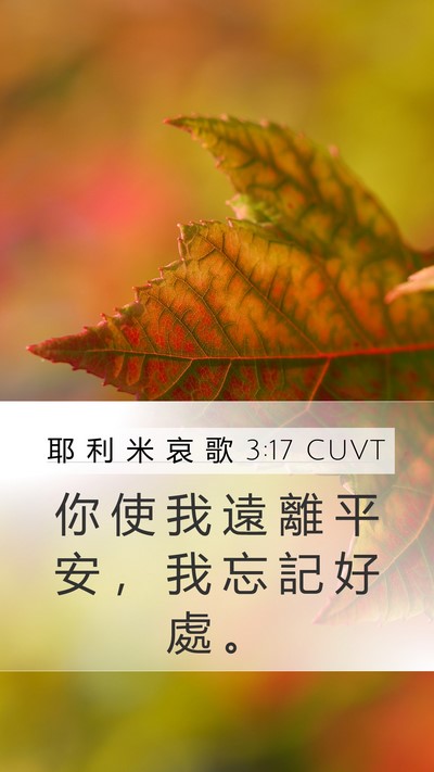 耶 利 米 哀 歌 3:17 CUVT Mobile Phone Wallpaper - 你 使 我 遠 離 平 安 ， 我 忘 記 好 - Mobile Bible Verse Wallpaper