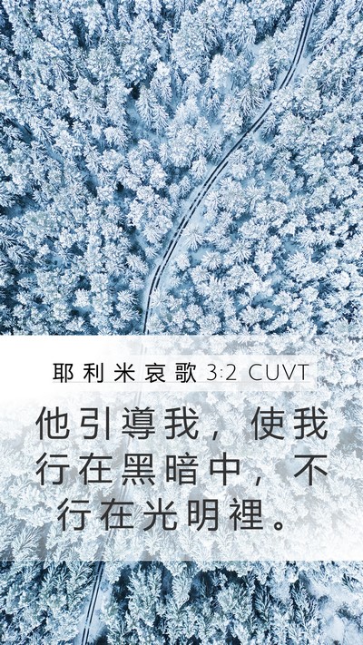 耶 利 米 哀 歌 3:2 CUVT Bible Verse Image