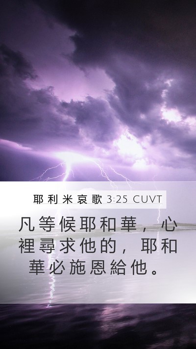 耶 利 米 哀 歌 3:25 CUVT Bible Verse Image