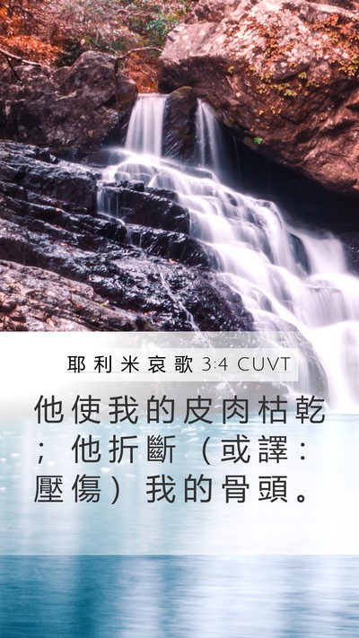耶 利 米 哀 歌 3:4 CUVT Bible Verse Image