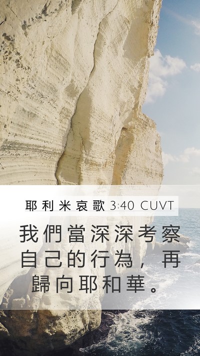 耶 利 米 哀 歌 3:40 CUVT Bible Verse Image